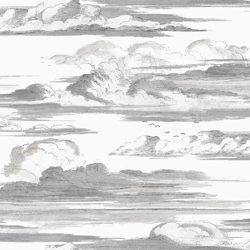 Thibaut Cielo — Black and White Non Woven wallpaper in Black and White