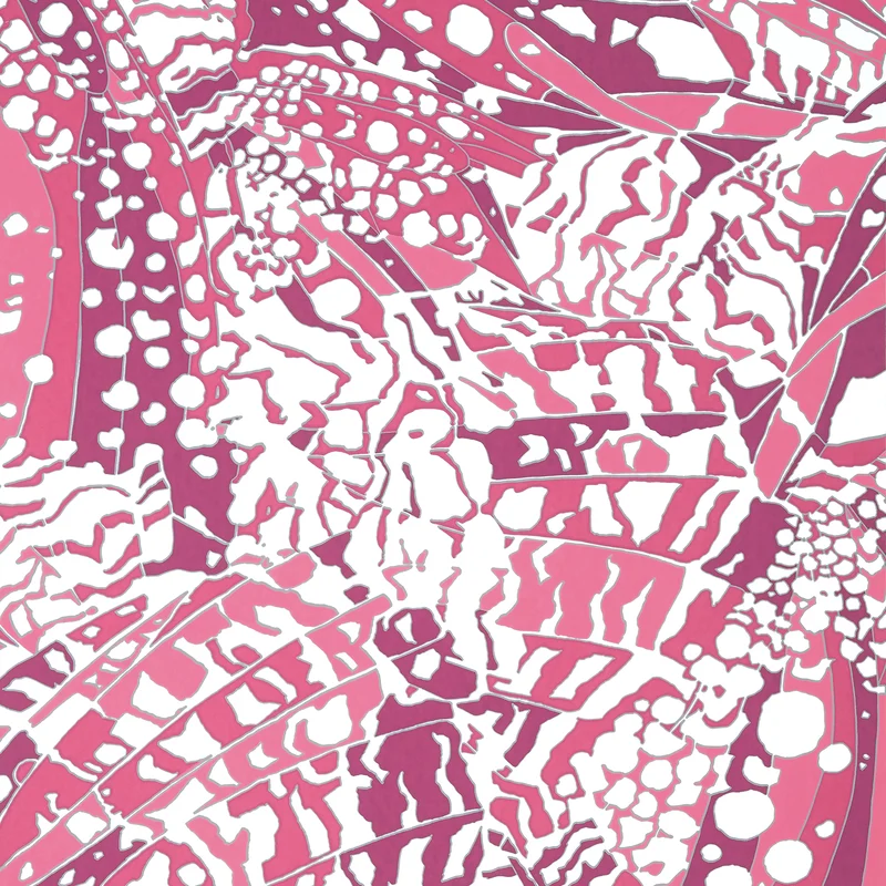 Thibaut Puccini — Fuchsia Non Woven Wallpaper wallpaper in Fuchsia