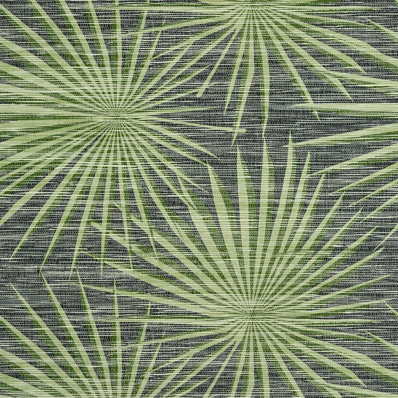 Thibaut Palm Frond — Black and Green Embossed Vinyl on Non Woven wallpaper in Black and Green