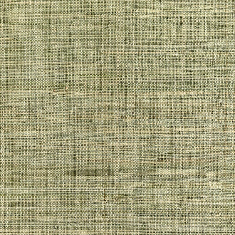 Thibaut Mackinac — Sage Raffia and Papyrus on Non Woven wallpaper in Sage
