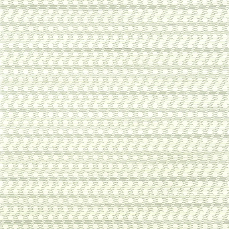 Thibaut Pergola — Green Abaca on Non Woven wallpaper in Green