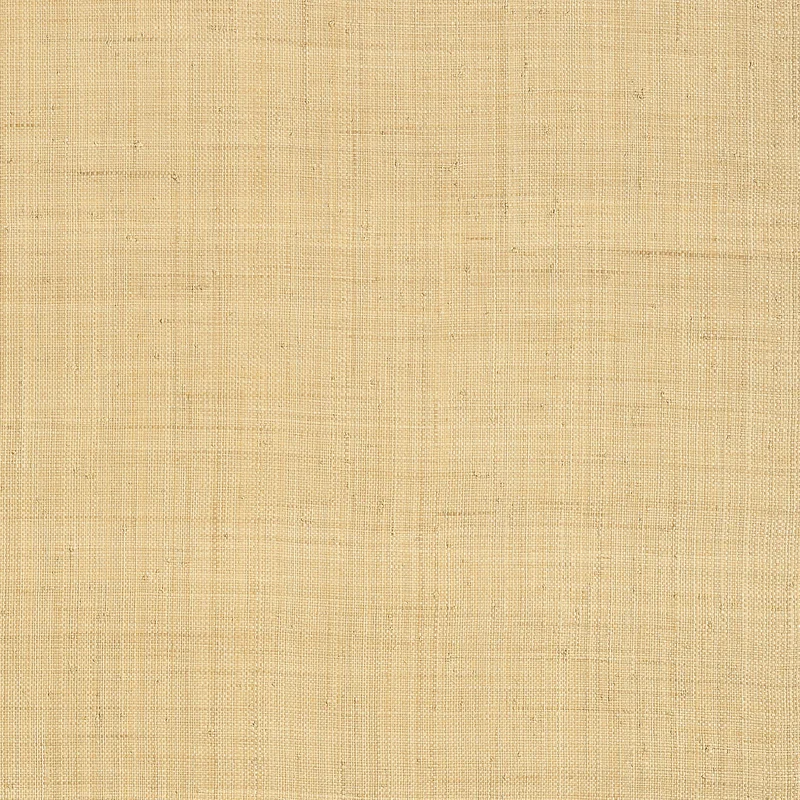 Thibaut Carolina Raffia — Natural Raffia on Non Woven wallpaper in Natural