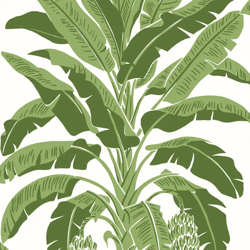Thibaut Banana Tree — Green Wallpaper wallpaper in Green