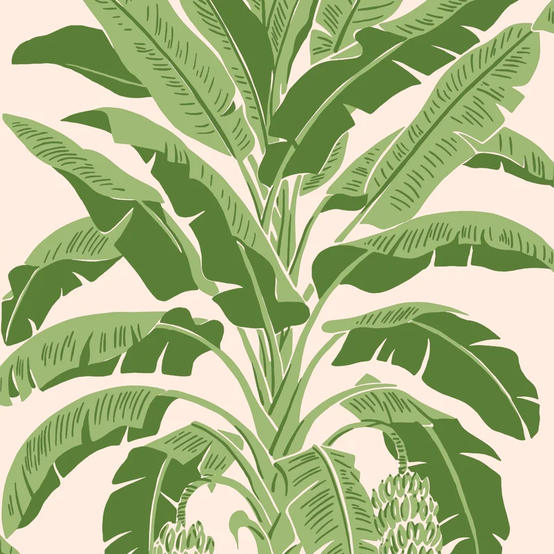 Thibaut Banana Tree — Pink and Green Wallpaper wallpaper in Pink and Green
