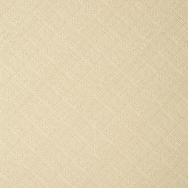 Thibaut Jackson Weave — Cashmere Embossed Vinyl on Osnaburg wallpaper in Cashmere
