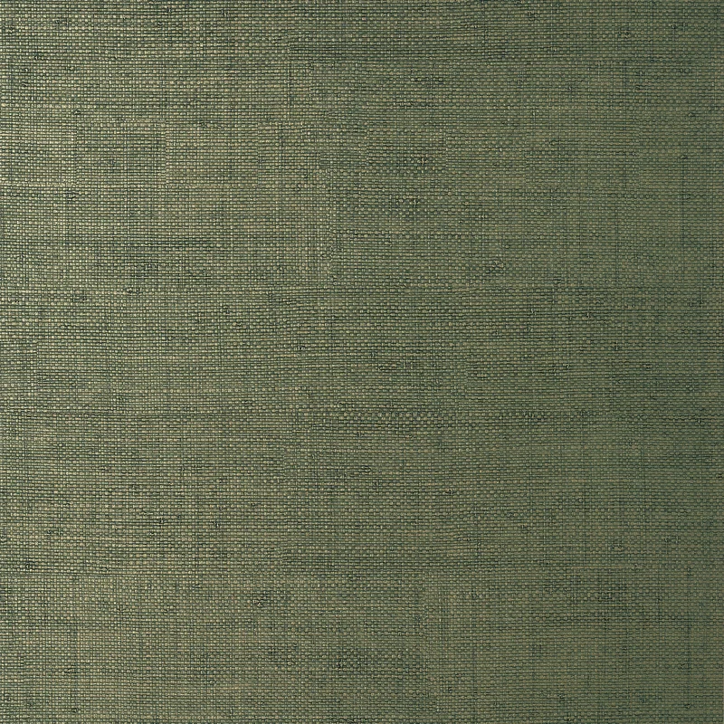 Thibaut Bankun Raffia — Forest Embossed Vinyl on Osnaburg wallpaper in Forest