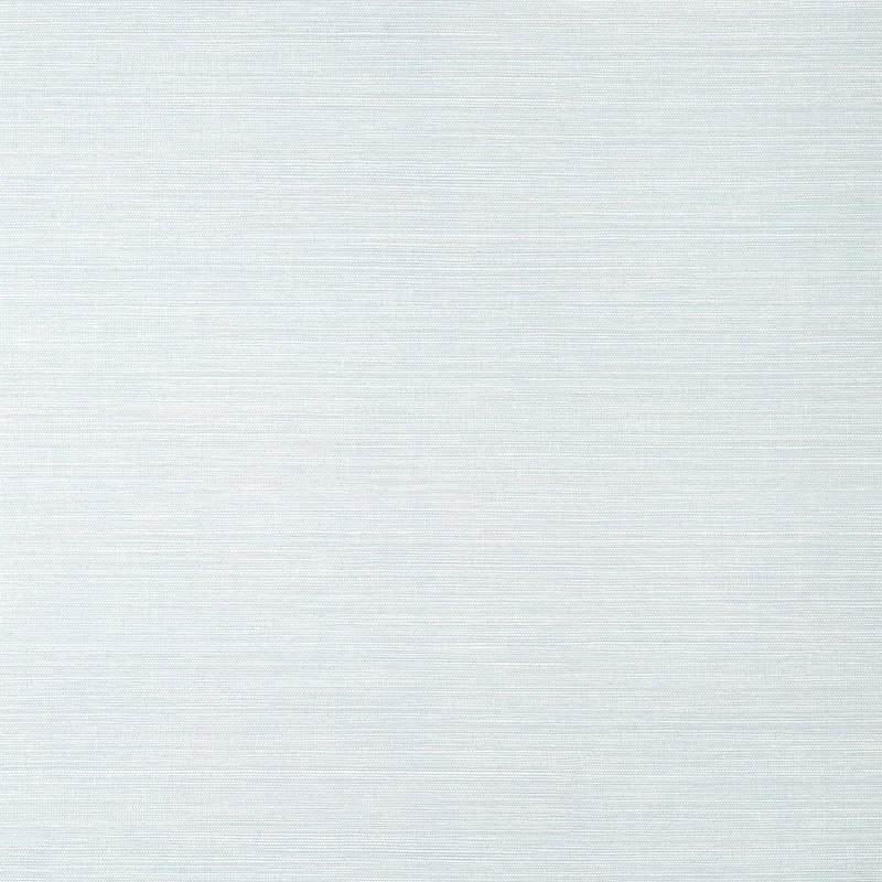Thibaut Luta Sisal — Ice Embossed Vinyl on Non Woven wallpaper in Ice