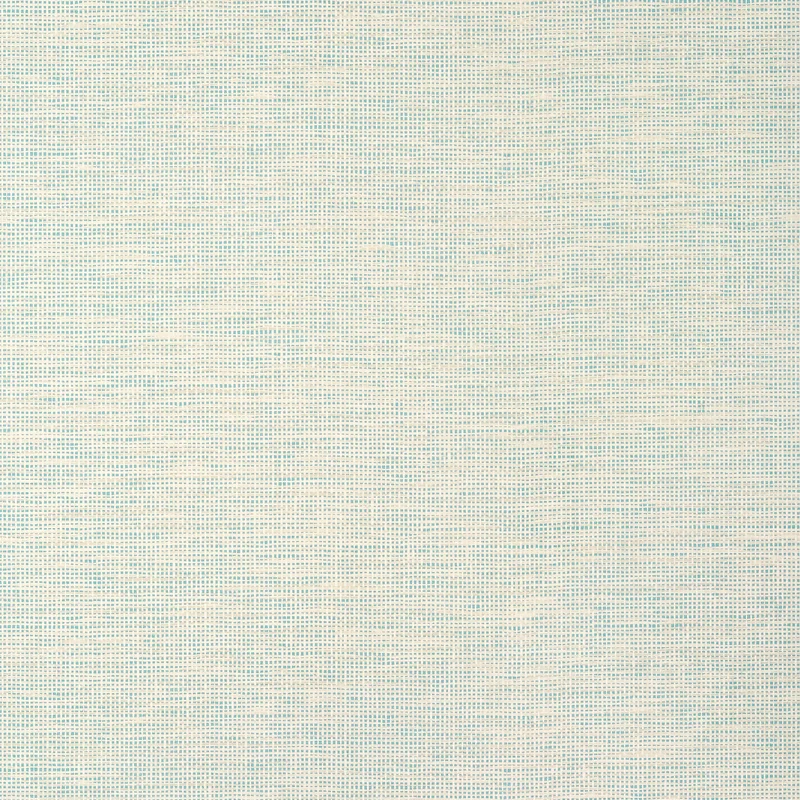 Thibaut Spiro — Robin'S Egg Embossed Vinyl on Non Woven wallpaper in Robin'S Egg