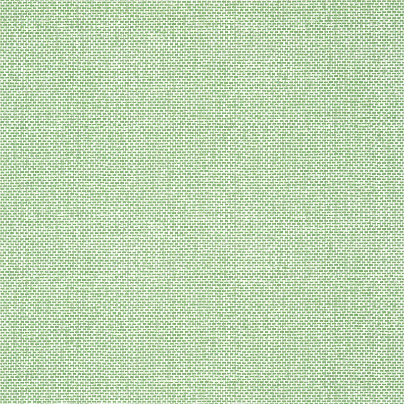 Thibaut Palawan — Green Wallpaper wallpaper in Green