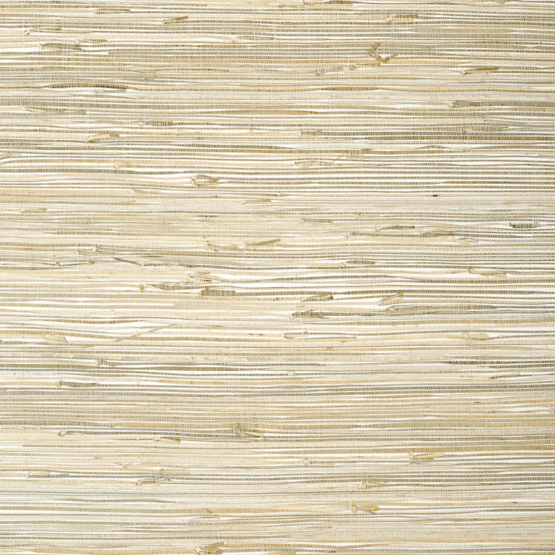 Thibaut Sutton — Natural Grass on Non Woven wallpaper in Natural