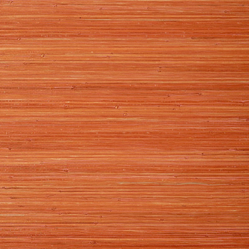 Thibaut Raffia Palm — Orange Raffia wallpaper in Orange