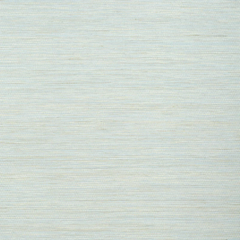 Thibaut Cape May Weave — Pale Blue Raffia on Non Woven wallpaper in Pale Blue
