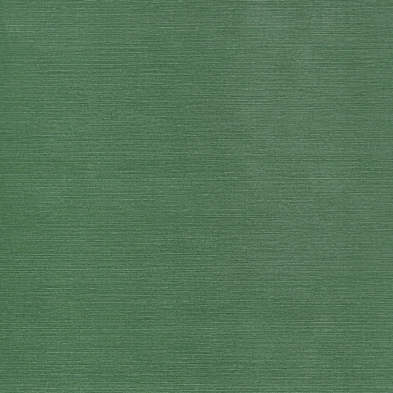 Thibaut Taluk Sisal — Forest Green Embossed Vinyl on Non Woven wallpaper in Forest Green