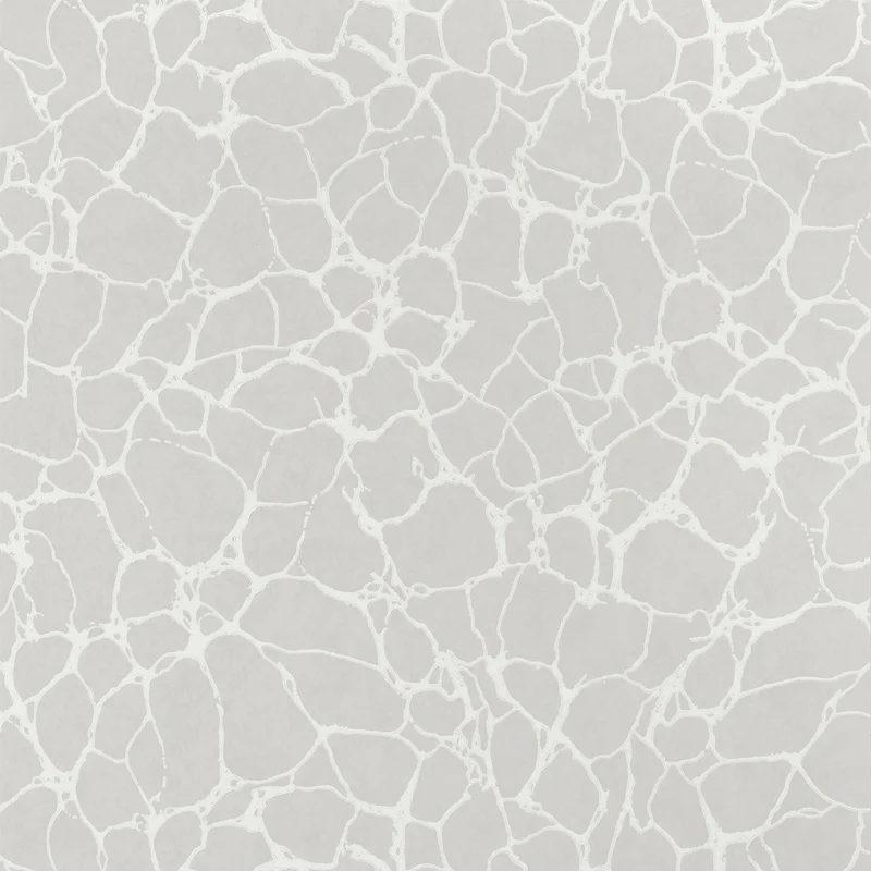 Thibaut Amato — Grey wallpaper