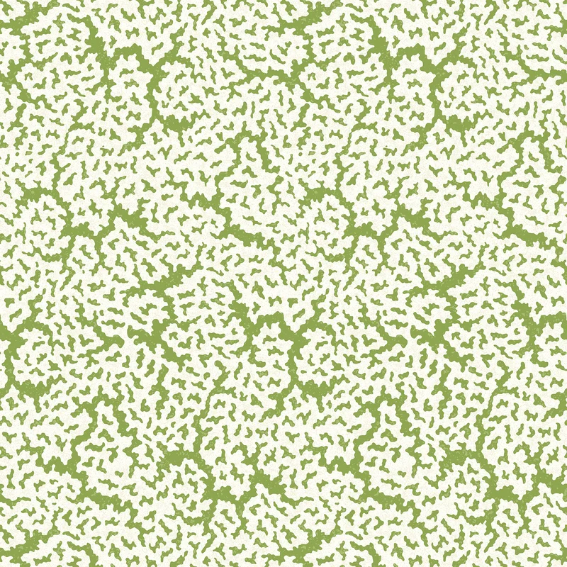 Thibaut Maldives — Green Non Woven wallpaper in Green
