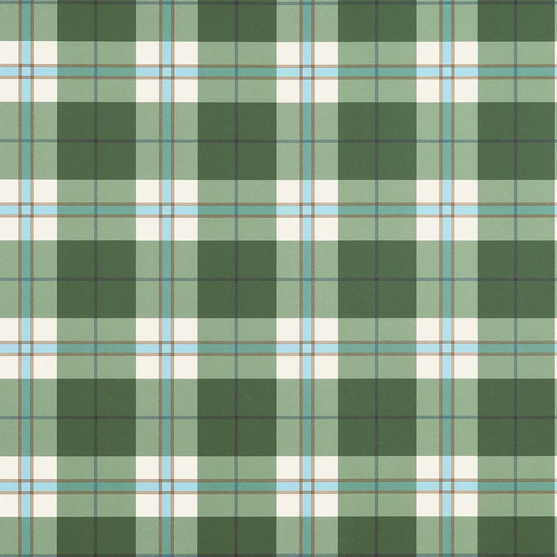 Thibaut Douglas Plaid — Green Non Woven wallpaper in Green
