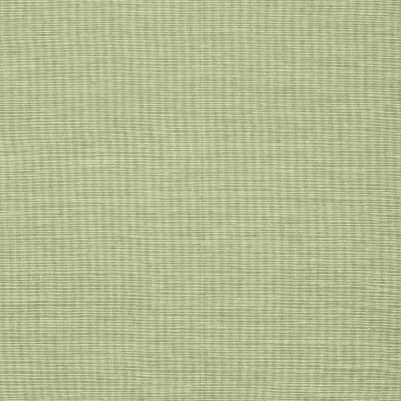 Thibaut Shang Extra Fine Sisal — Willow Extra Fine Sisal on Paper wallpaper in Willow