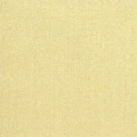Thibaut Raffia Weave — Tan Paperweave wallpaper in Tan