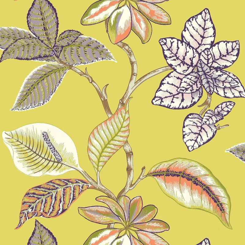 Thibaut Lucala — Citron wallpaper