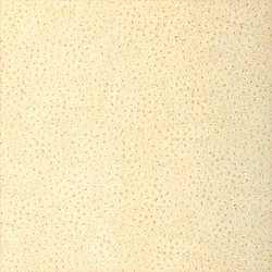 Thibaut Natural Ostrich — Cream Embossed Vinyl Woven Wallpaper wallpaper in Cream