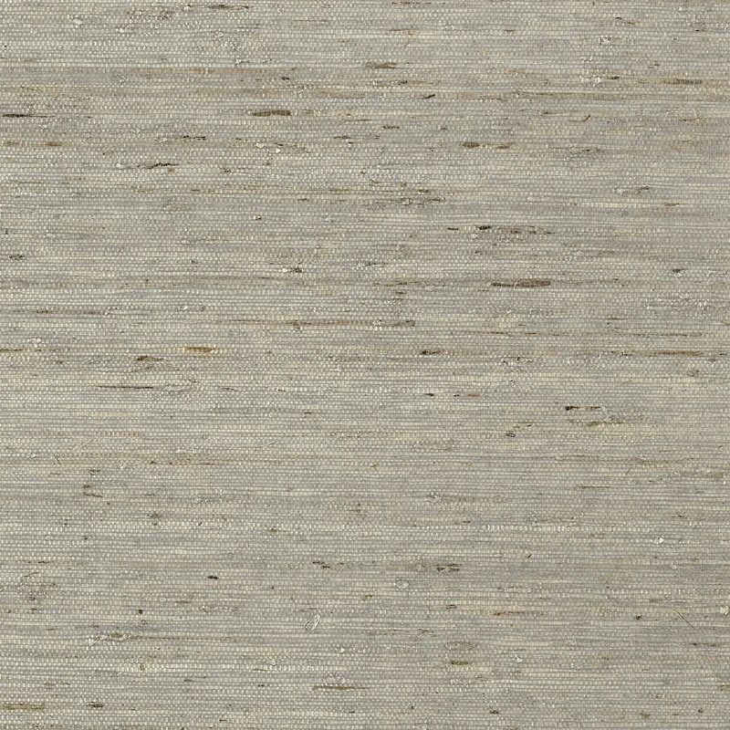 Thibaut Maranta Arrowroot — Grey Arrowroot on Paper wallpaper in Grey
