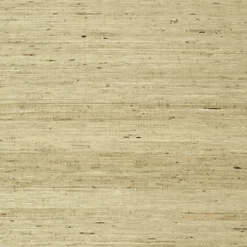 Thibaut Maranta Arrowroot — Beige Arrowroot on Paper wallpaper in Beige