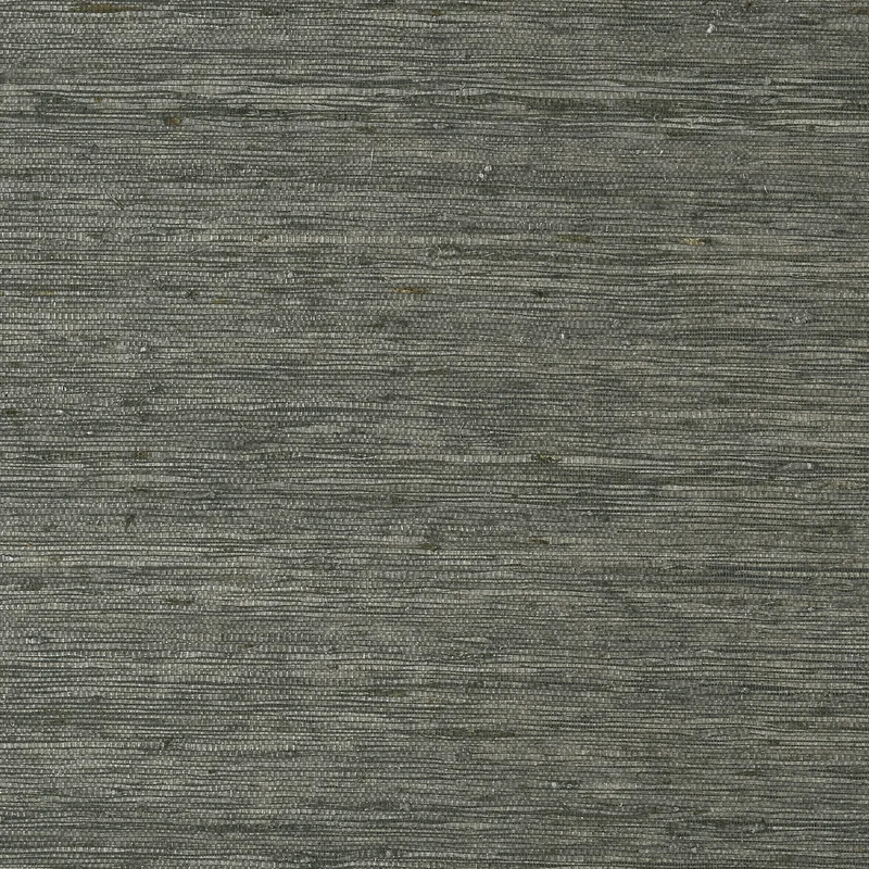 Thibaut Maranta Arrowroot — Black Arrowroot on Paper wallpaper in Black