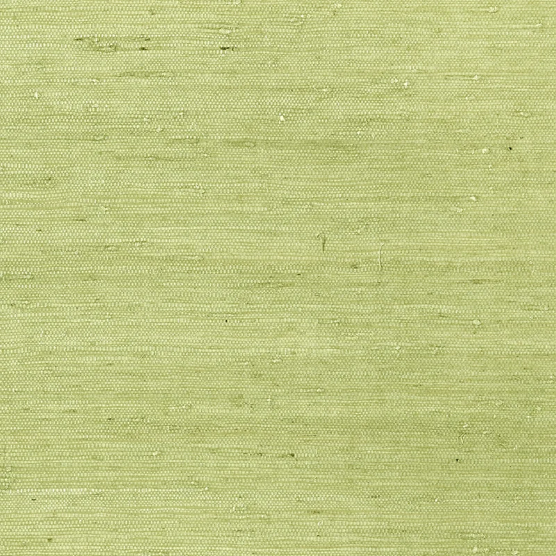 Thibaut Maranta Arrowroot — Green Arrowroot on Paper wallpaper in Green