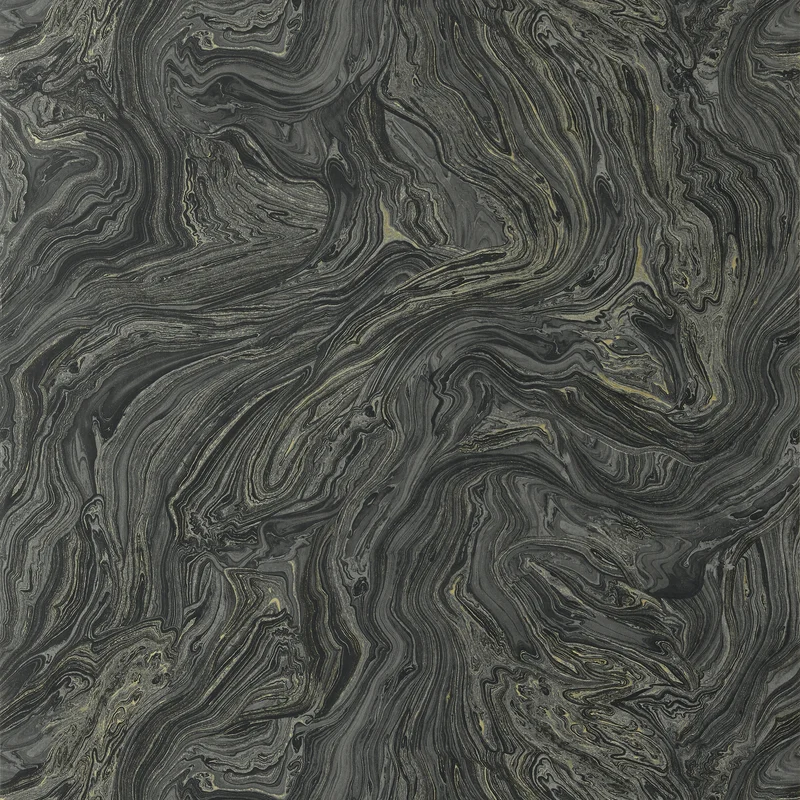 Thibaut Venus — Black Wallpaper wallpaper in Black