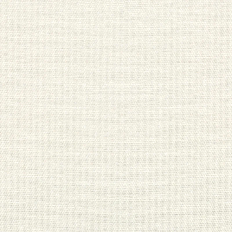 Thibaut Benfield — Cream wallpaper
